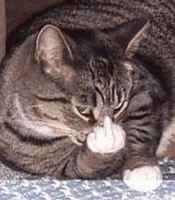 sticker_19405389_34819899