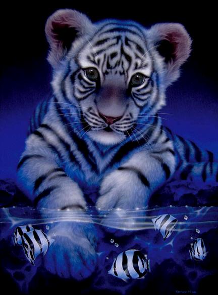 sticker_12070195_18273032