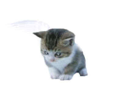 sticker_21037936_35149243