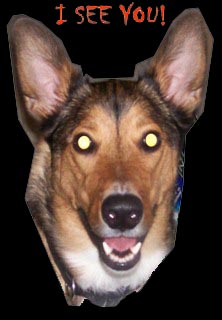 sticker_1338299_29976555