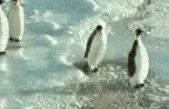 sticker_24651089_34325921