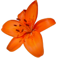 sticker_20615283_40624874