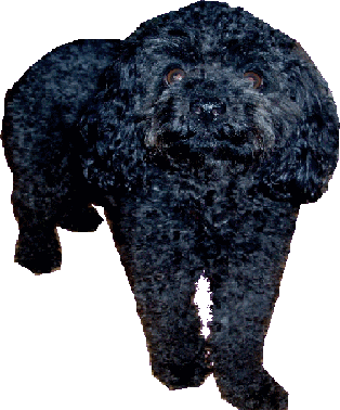 sticker_5437047_21388740
