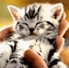 sticker_20418808_33813253