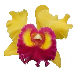 sticker_6202750_19008788