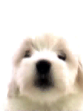 sticker_18633449_32352528