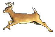 sticker_24784674_37510135