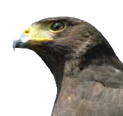 sticker_25608334_34883559
