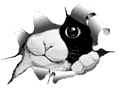 sticker_11560121_33157393