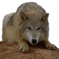 sticker_18078123_28128411