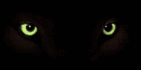 sticker_6778162_15602842