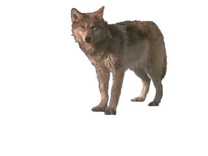 sticker_5260502_15381881