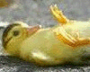sticker_18939971_33386943