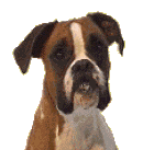 sticker_10448498_33979155