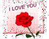 sticker_27955911_40195444