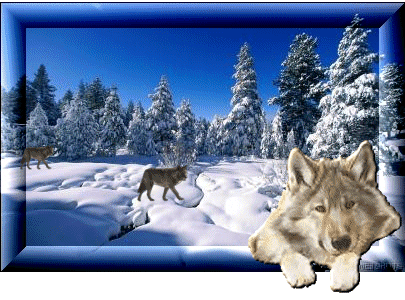 sticker_4458010_31262983