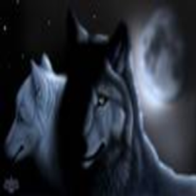 sticker_25398081_38342905