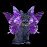 sticker_348161_430269