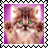 sticker_17992944_32554861