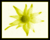 sticker_4882428_7518455