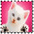sticker_10618457_23067610
