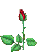 sticker_17324506_33288177