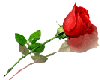 sticker_21215909_35185064