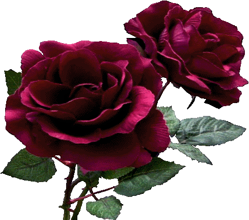 sticker_7620165_21689657