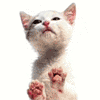 sticker_2570325_28304379