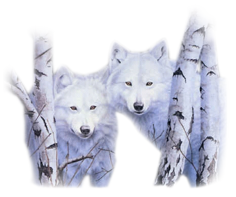 sticker_17532187_23085782