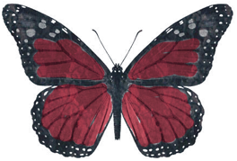 sticker_5422686_19980381