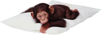 sticker_170381_289060