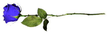 sticker_24276774_37461021