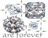 sticker_16746161_33534663