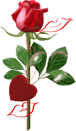 sticker_16410378_23678268