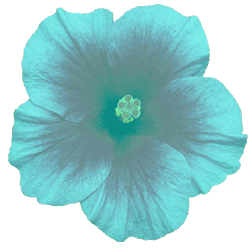 sticker_15328161_38618988