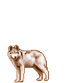 sticker_12547793_25293646