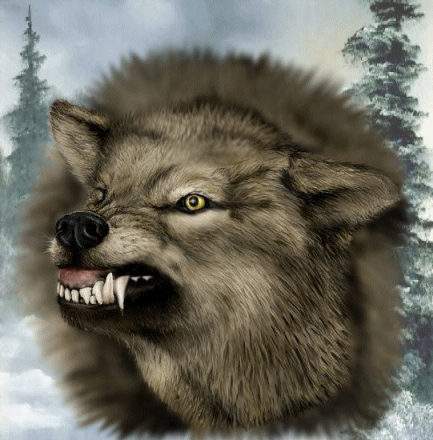 sticker_11591881_21541591