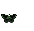 sticker_17717865_37818115