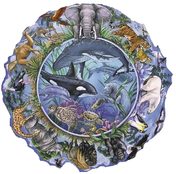 sticker_19055929_36785830
