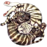 sticker_5541001_18912945