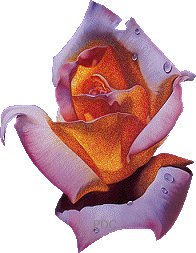 sticker_10782918_23272774