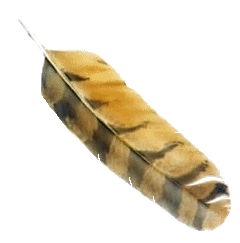 sticker_15799849_32409241
