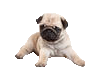 sticker_3341667_30247712