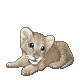 sticker_13094121_19221854