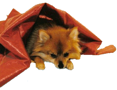 sticker_5520643_19282698