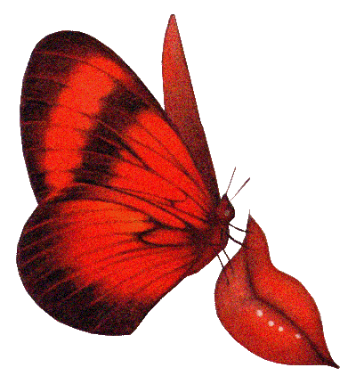 sticker_21224003_32851117