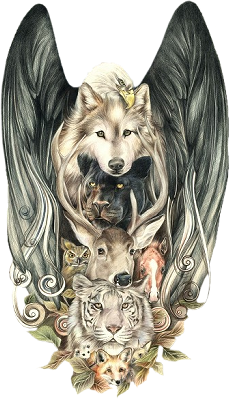 sticker_3433260_6369223