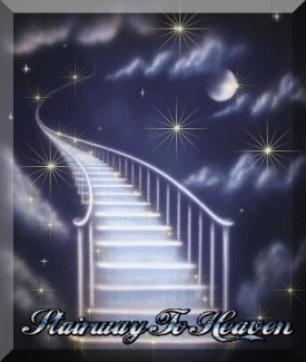 sticker_2834228_15980007