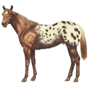 sticker_21155843_31005738